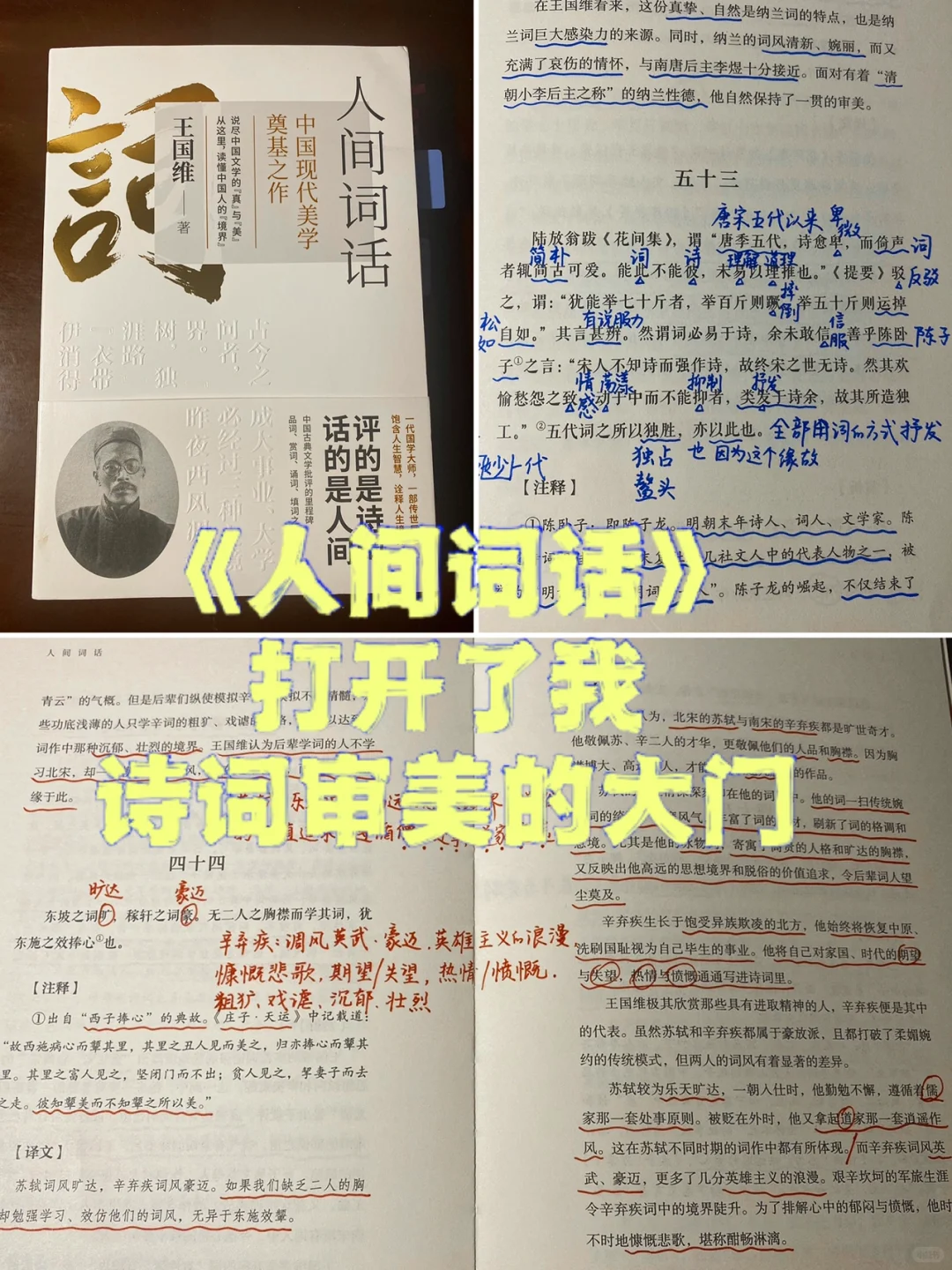 《人间词话》绝美的词与评价，这里都有。