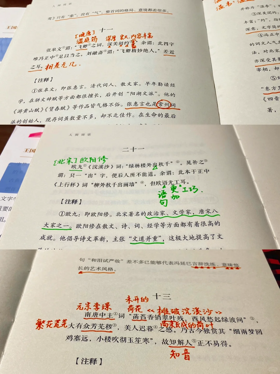 《人间词话》绝美的词与评价，这里都有。