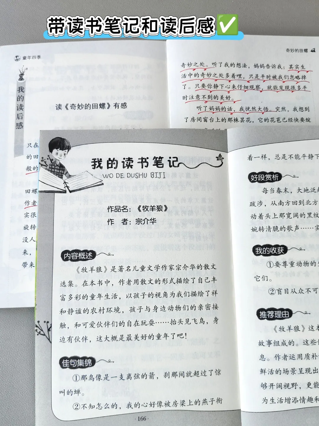 三年级开始，一定要多读名家经典文学