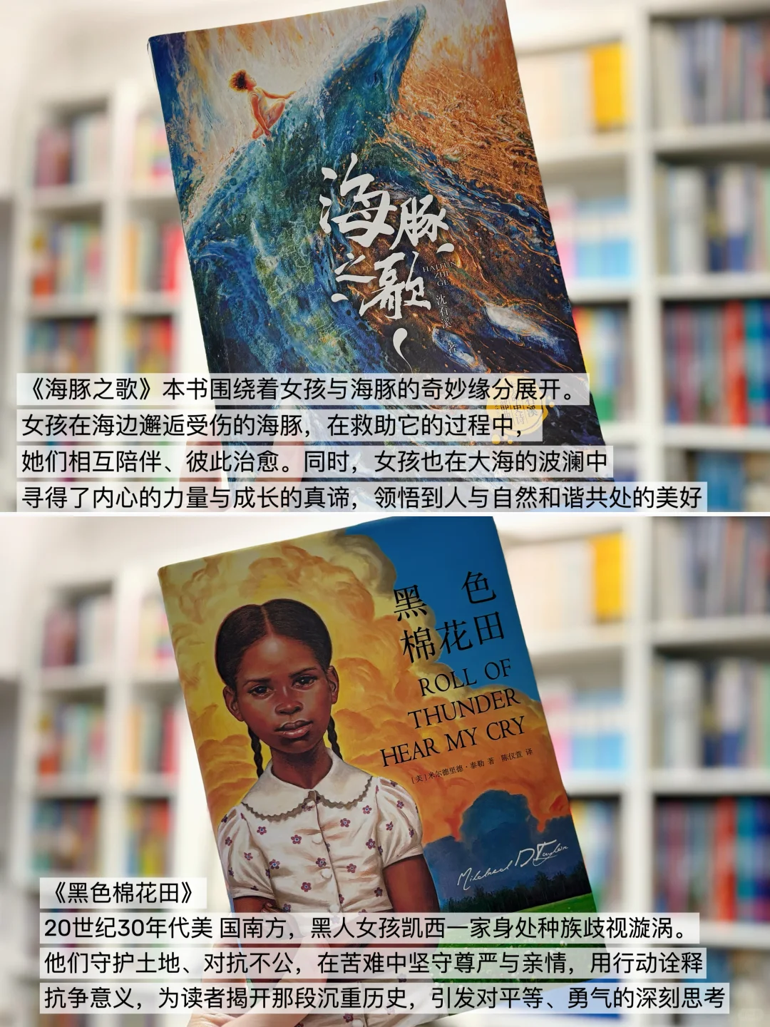 给2-4年级精挑细选的儿童文学书单📚