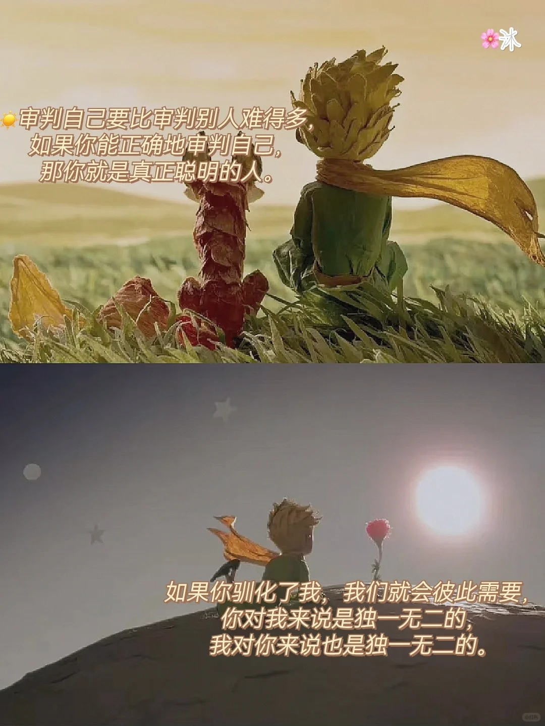 经典文学|小王子中蕴含的人生哲理㊙️