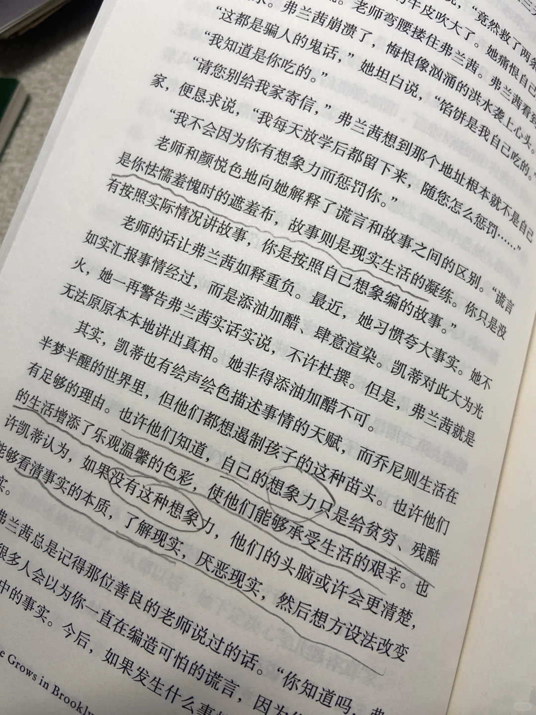 阅读的力量丨青少年必读经典文学书单