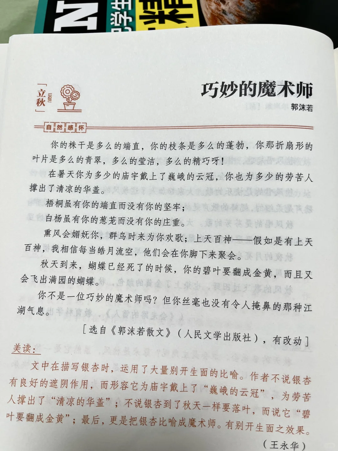 从今天起，就读文学经典吧📚