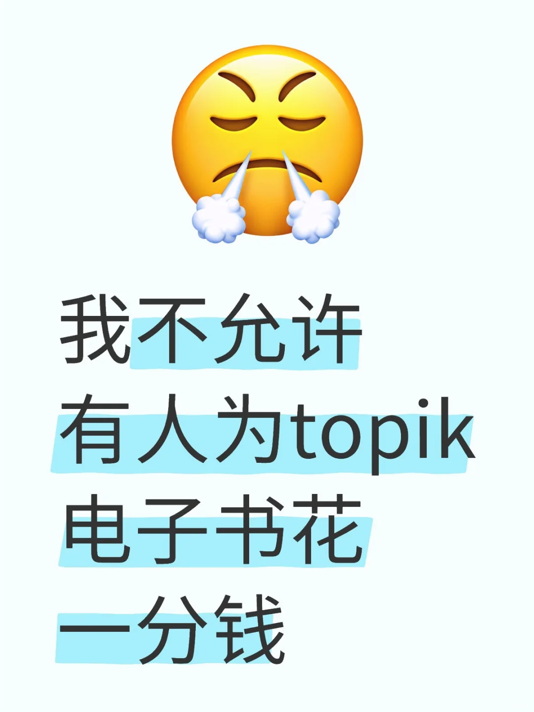 我不允许有人为TOPIK电子书花一分钱...