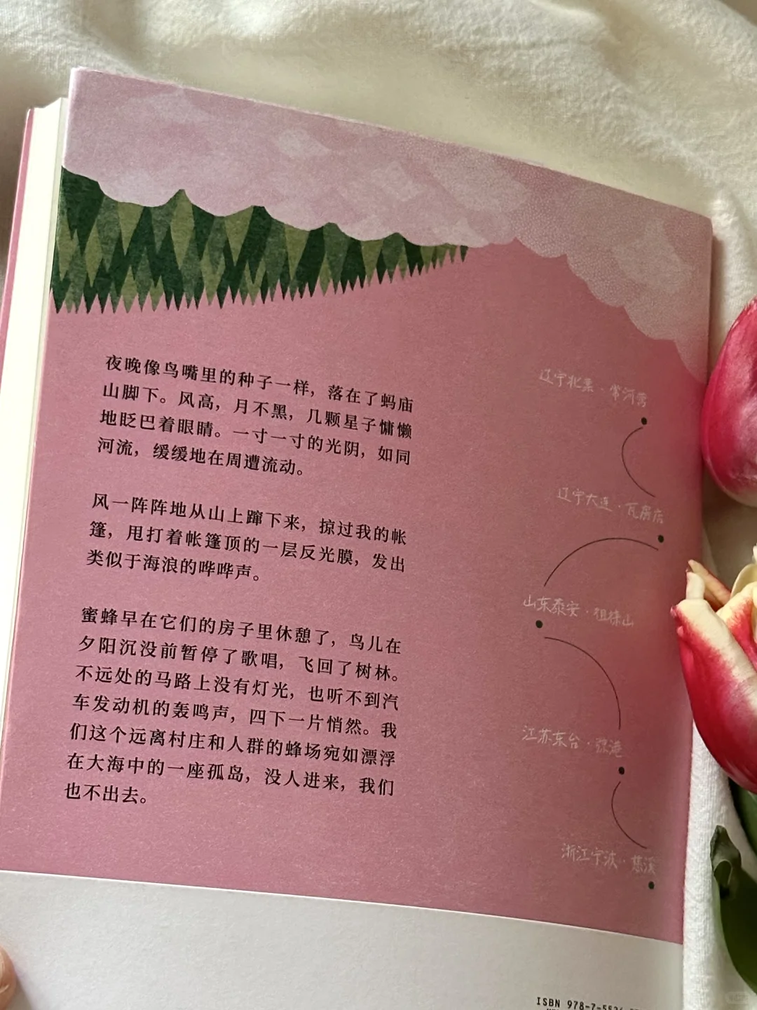 怎么会有这么治愈的书啊！太太太美了🍃🌸