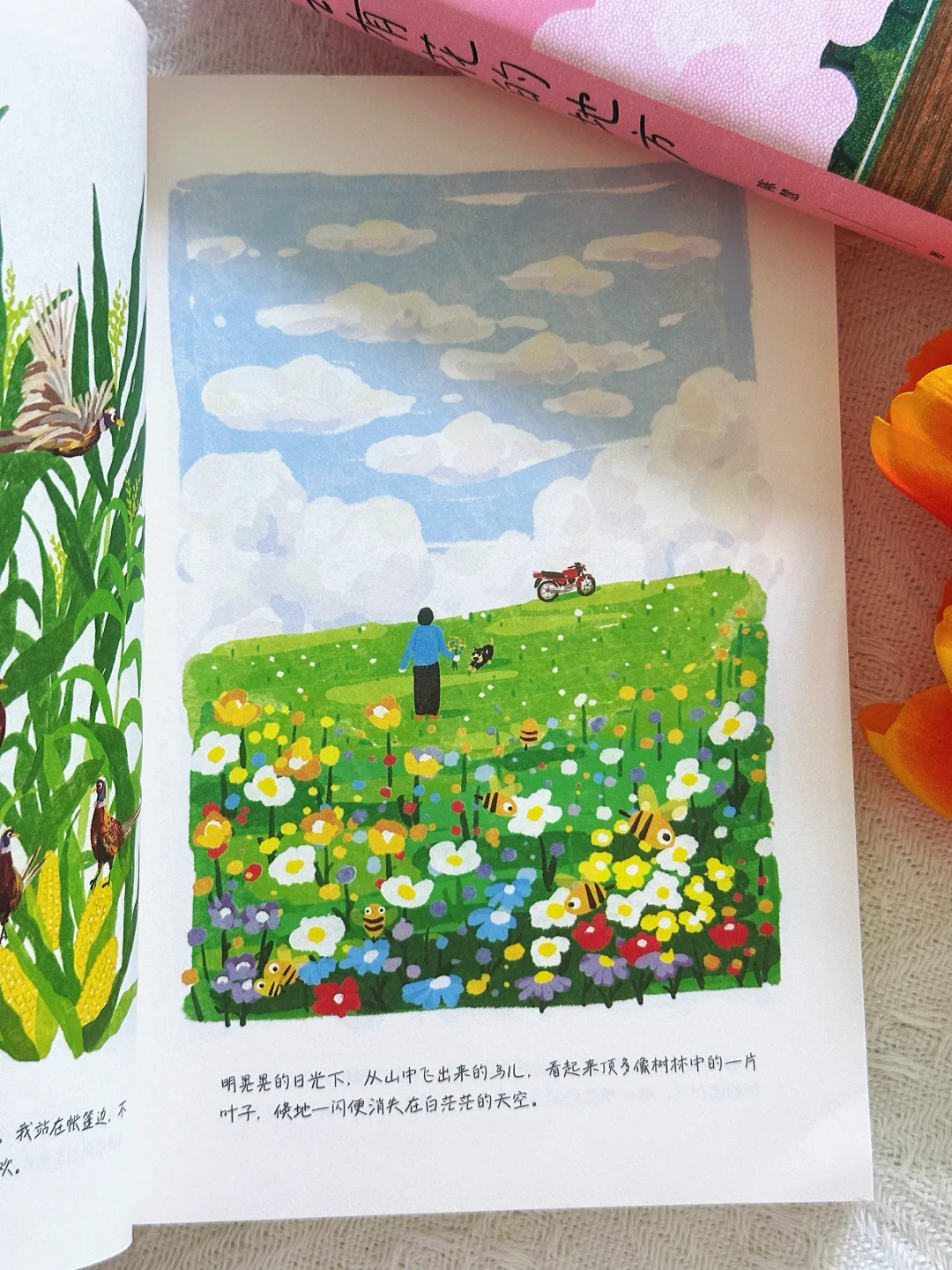 我今年读过最美的一本书，没有之一！！