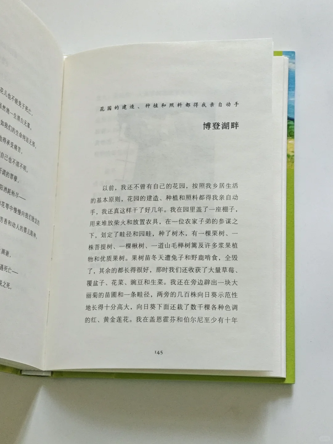 越长大，越觉得独处是刚刚好的浪漫