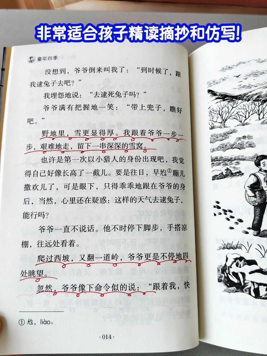 三年级开始，一定要多读名家经典文学