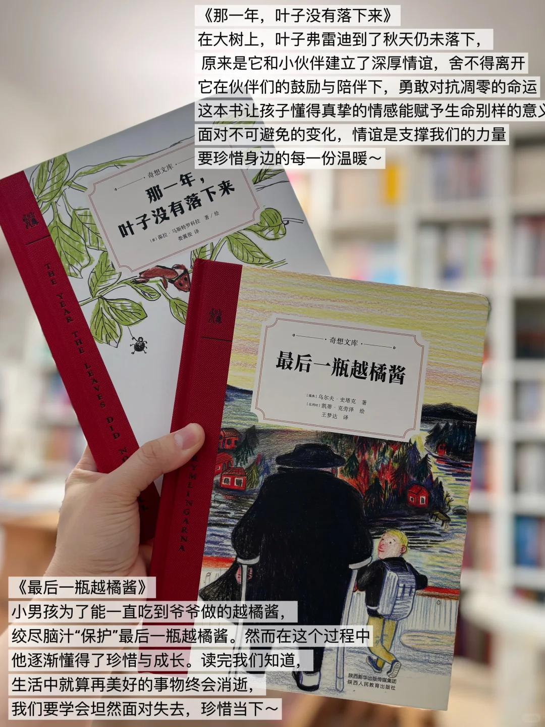 给2-4年级精挑细选的儿童文学书单📚