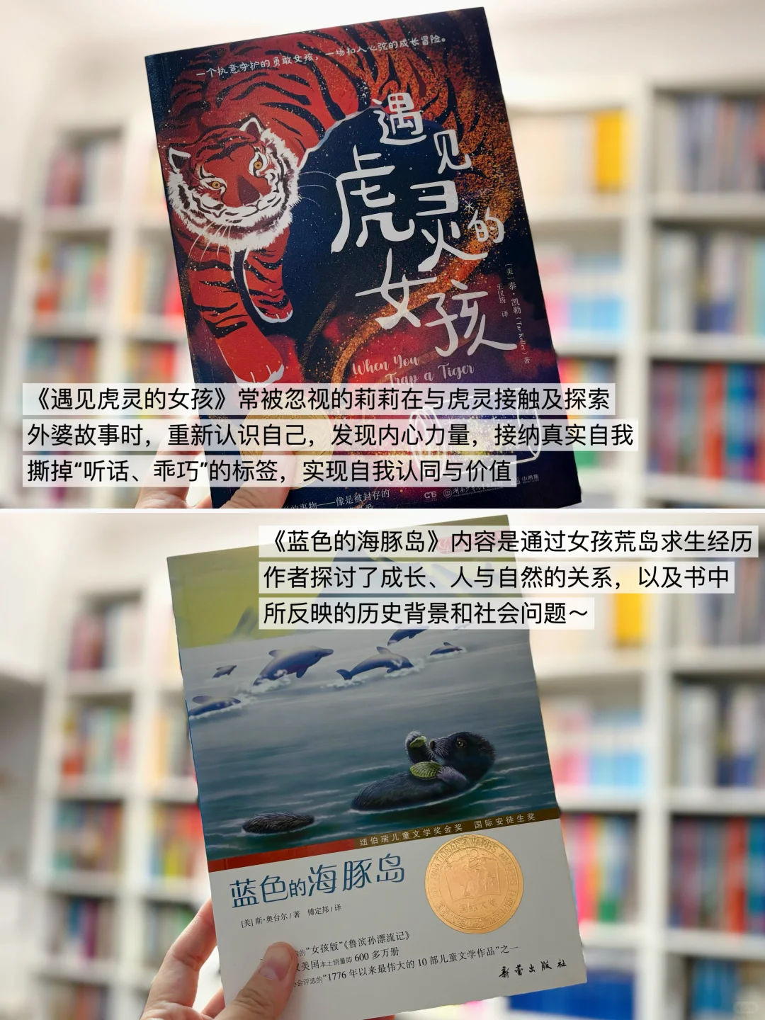 给2-4年级精挑细选的儿童文学书单📚