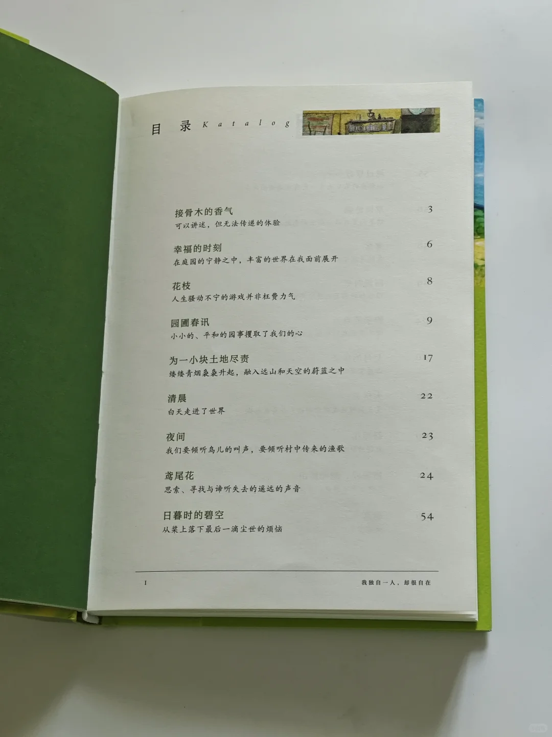 越长大，越觉得独处是刚刚好的浪漫