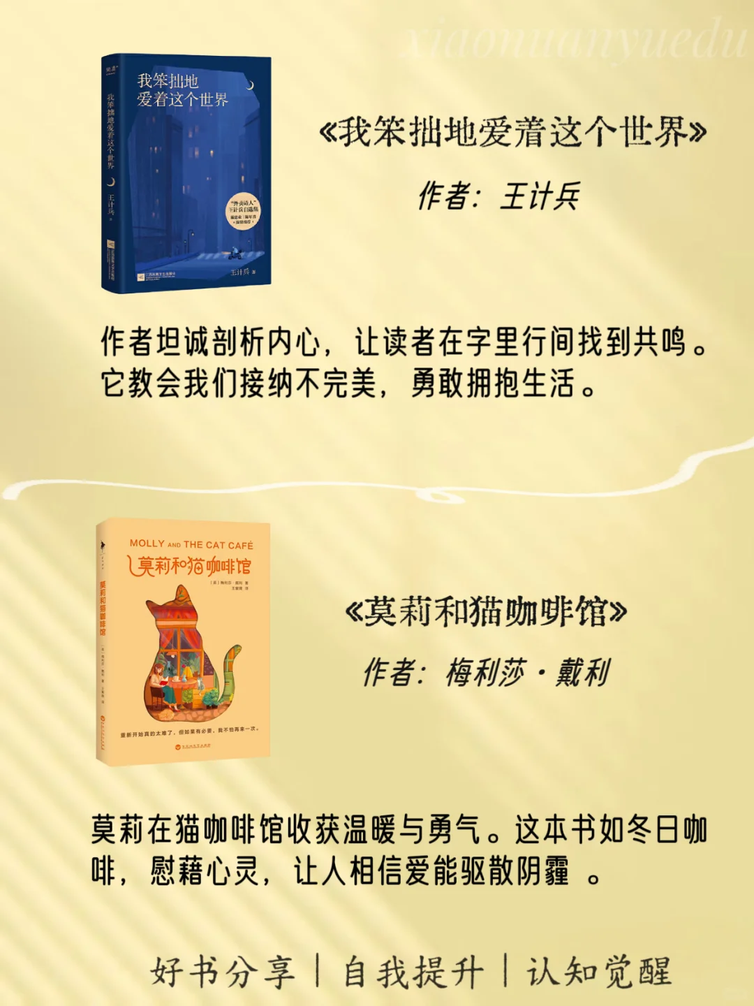 📖12本治愈系书单|焦虑内耗迷茫必看