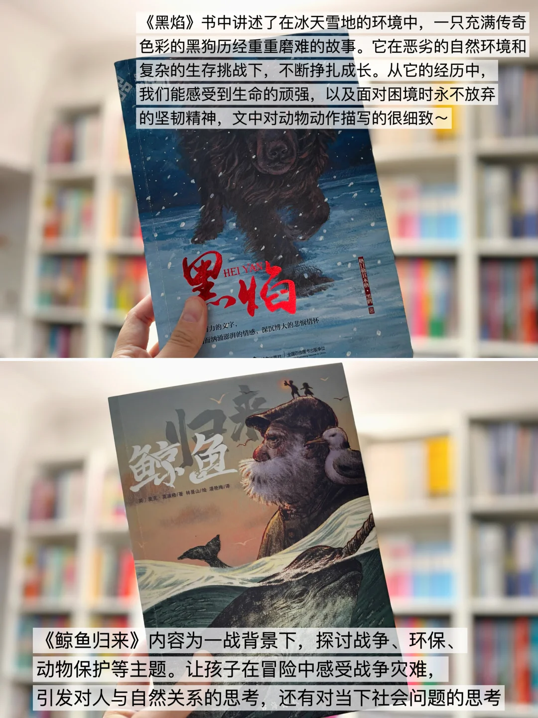 给2-4年级精挑细选的儿童文学书单📚