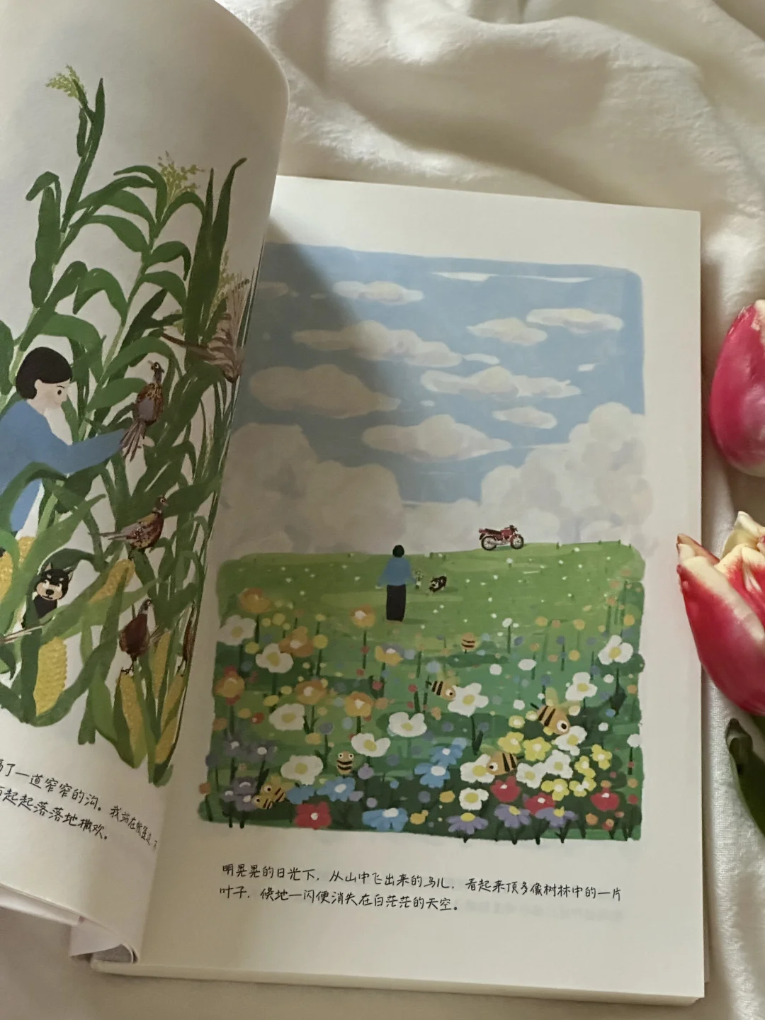 怎么会有这么治愈的书啊！太太太美了🍃🌸