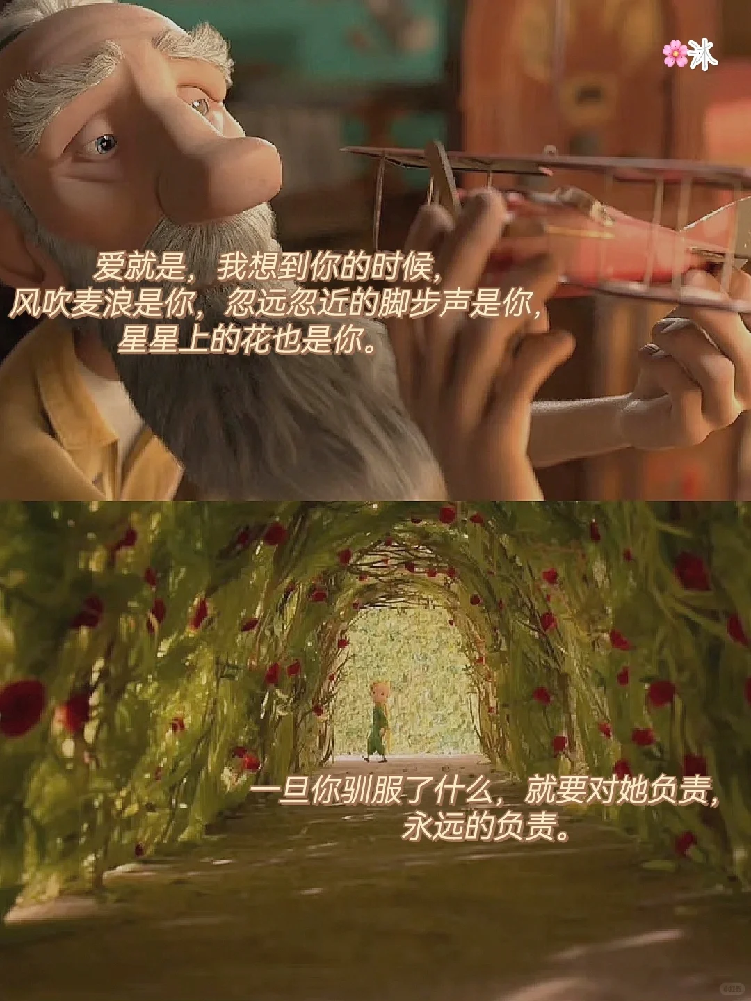 经典文学|小王子中蕴含的人生哲理㊙️