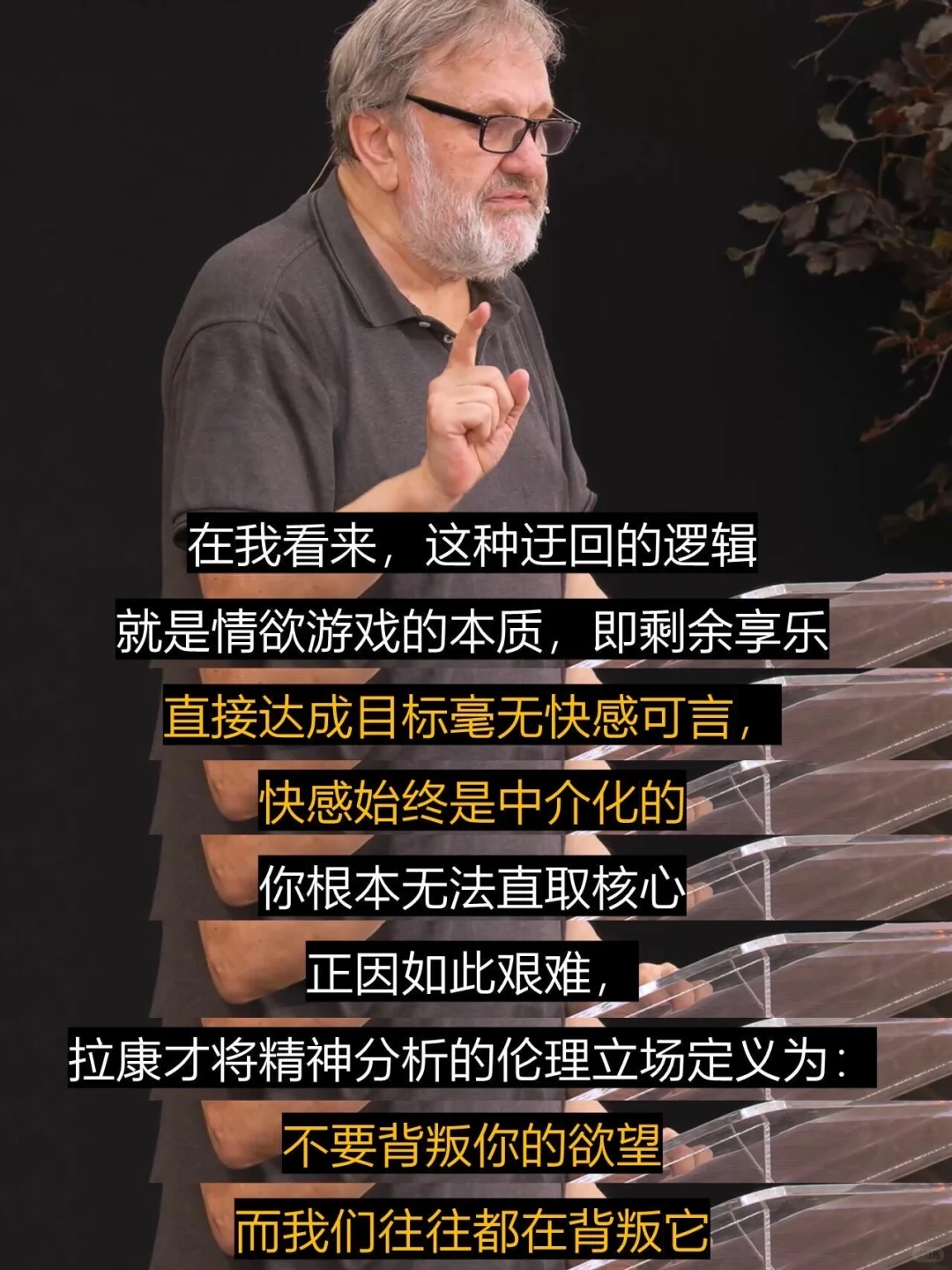 齐泽克：欲望的本质就是缺失‼️