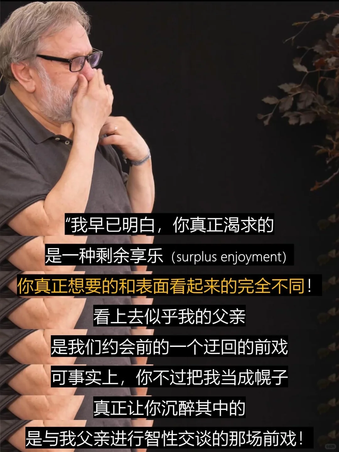齐泽克：欲望的本质就是缺失‼️