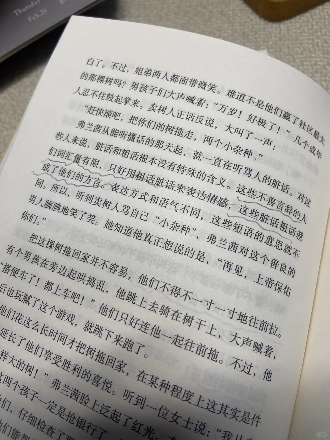 阅读的力量丨青少年必读经典文学书单