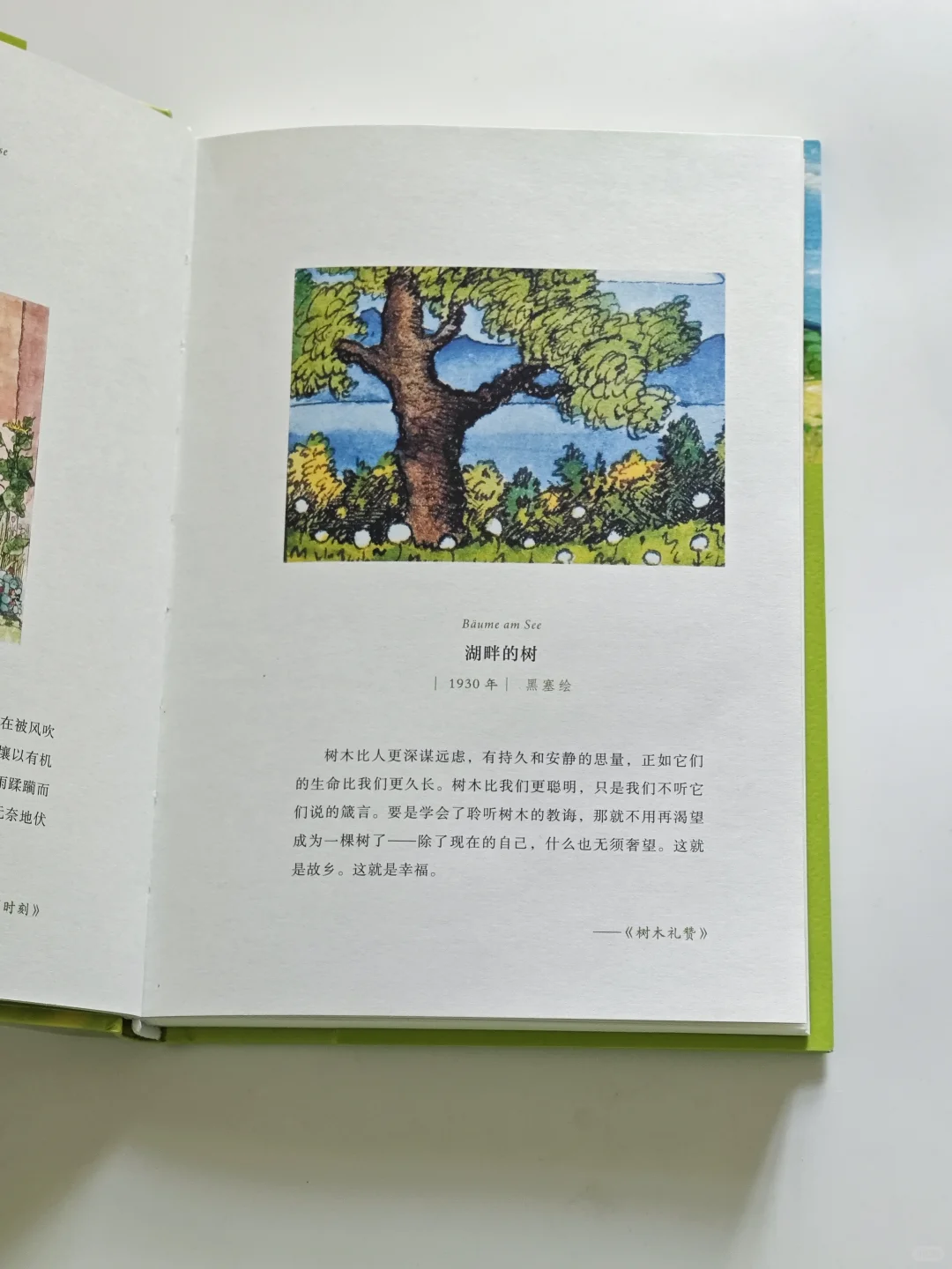越长大，越觉得独处是刚刚好的浪漫