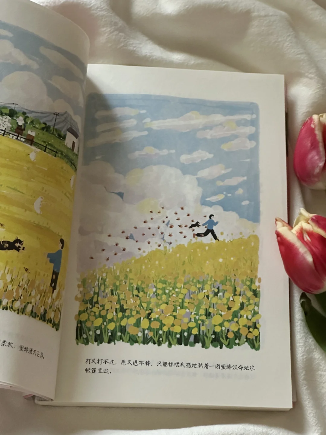 怎么会有这么治愈的书啊！太太太美了🍃🌸
