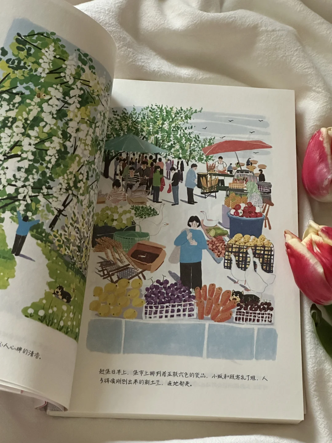 怎么会有这么治愈的书啊！太太太美了🍃🌸