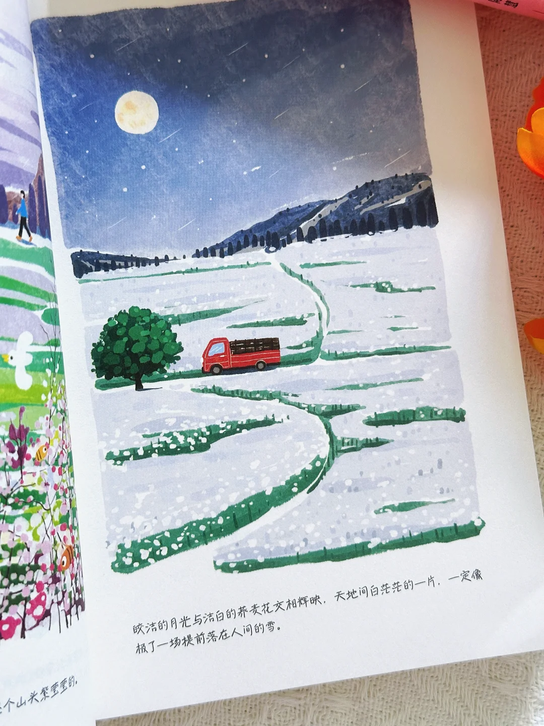 我今年读过最美的一本书，没有之一！！