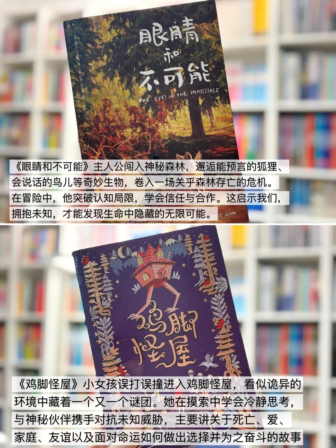 给2-4年级精挑细选的儿童文学书单📚
