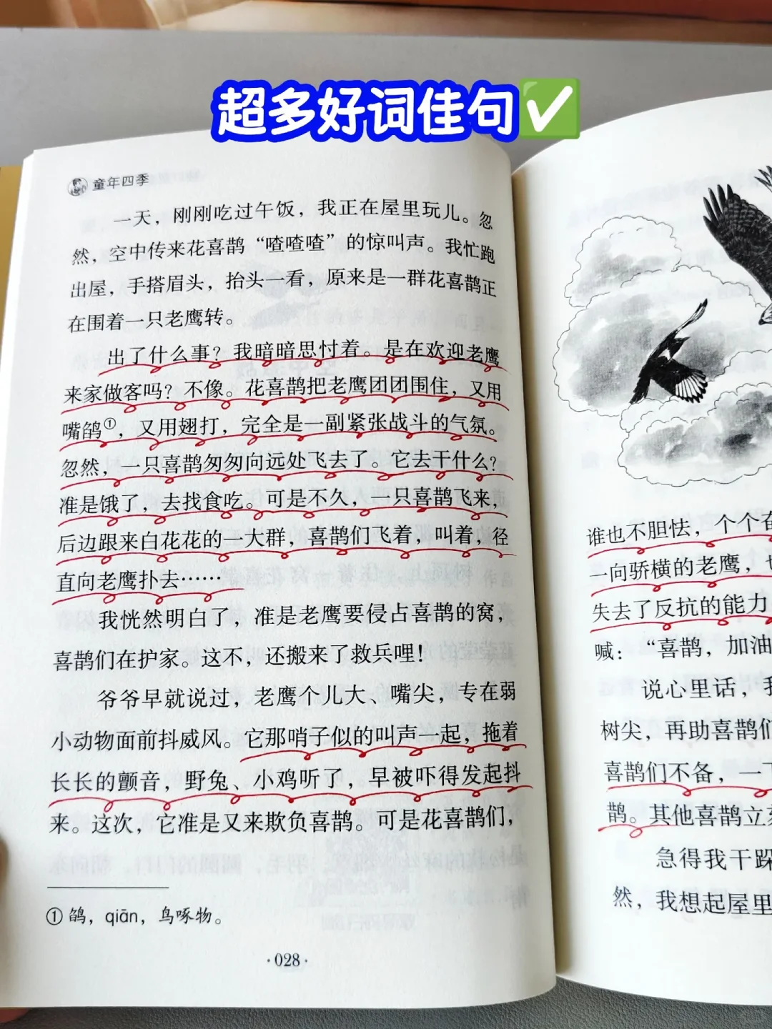 三年级开始一定要多读名家经典文学！！！！