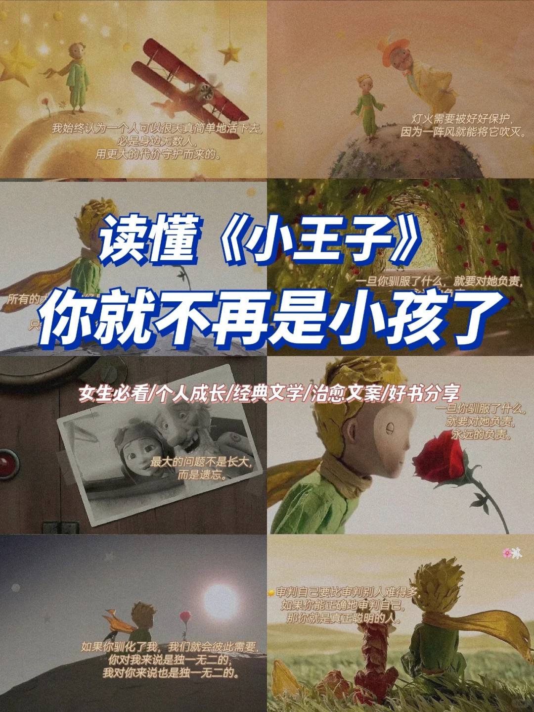 经典文学|小王子中蕴含的人生哲理㊙️