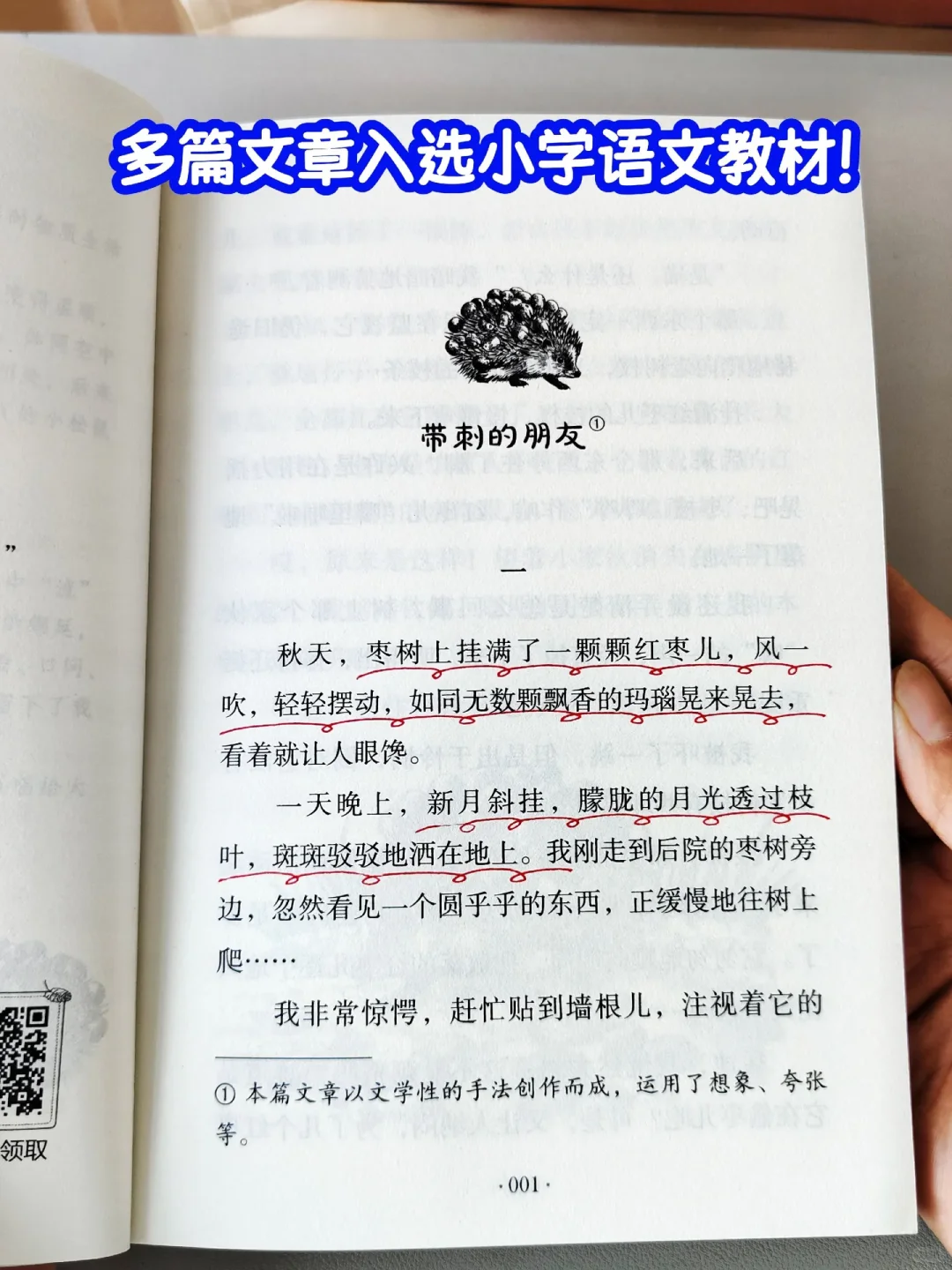 三年级开始一定要多读名家经典文学！！！！