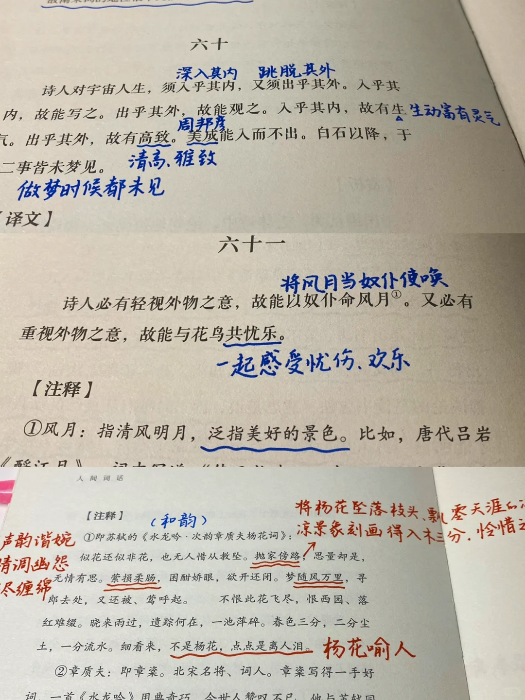 《人间词话》绝美的词与评价，这里都有。