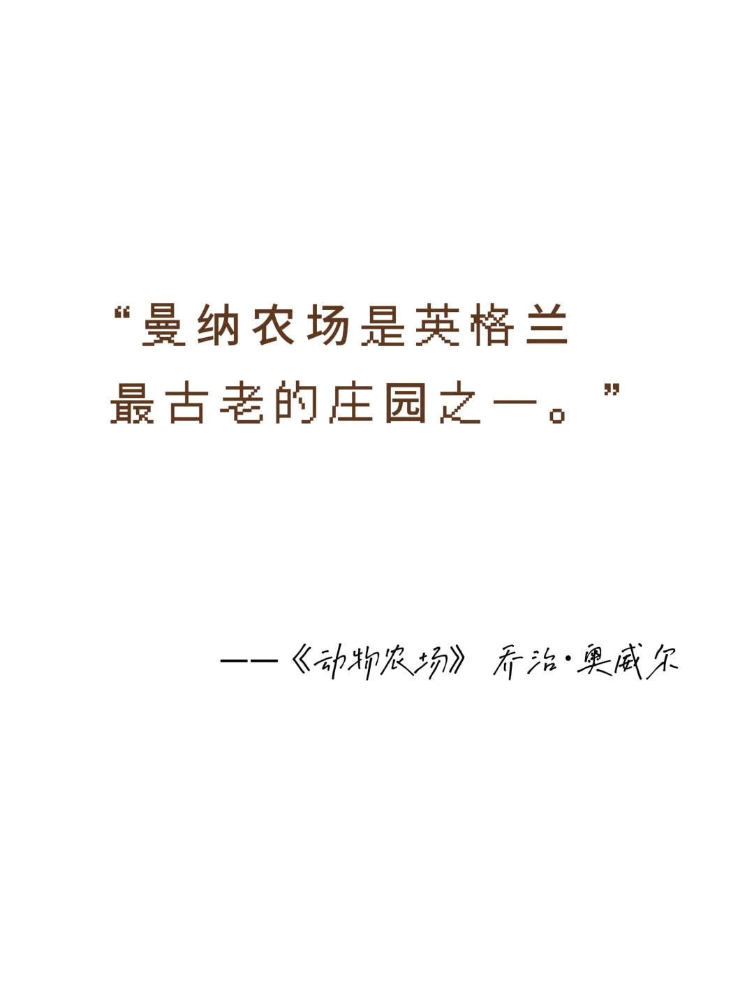 经典永不过时，这些神级开头，值得全文背诵