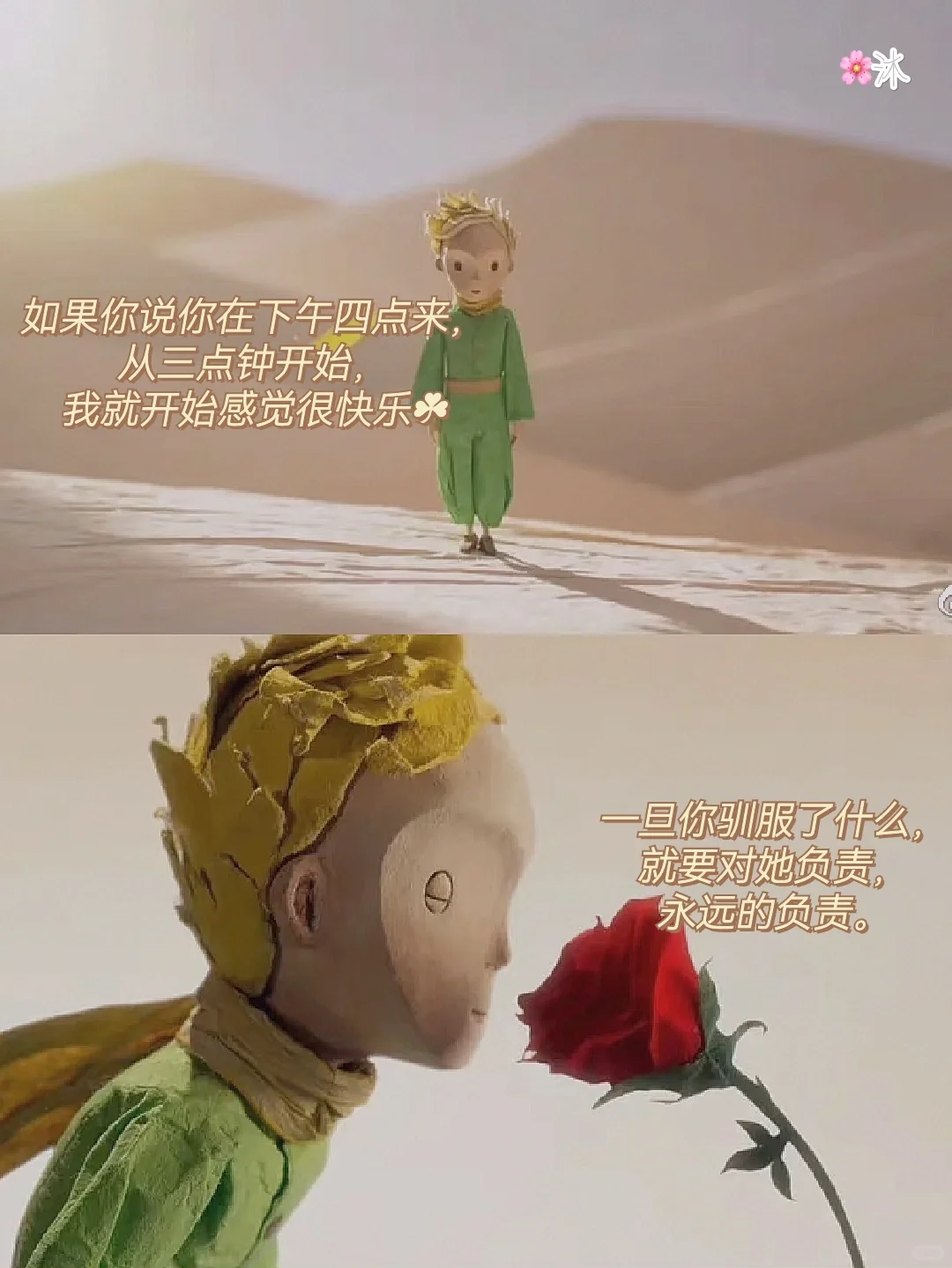 经典文学|小王子中蕴含的人生哲理㊙️