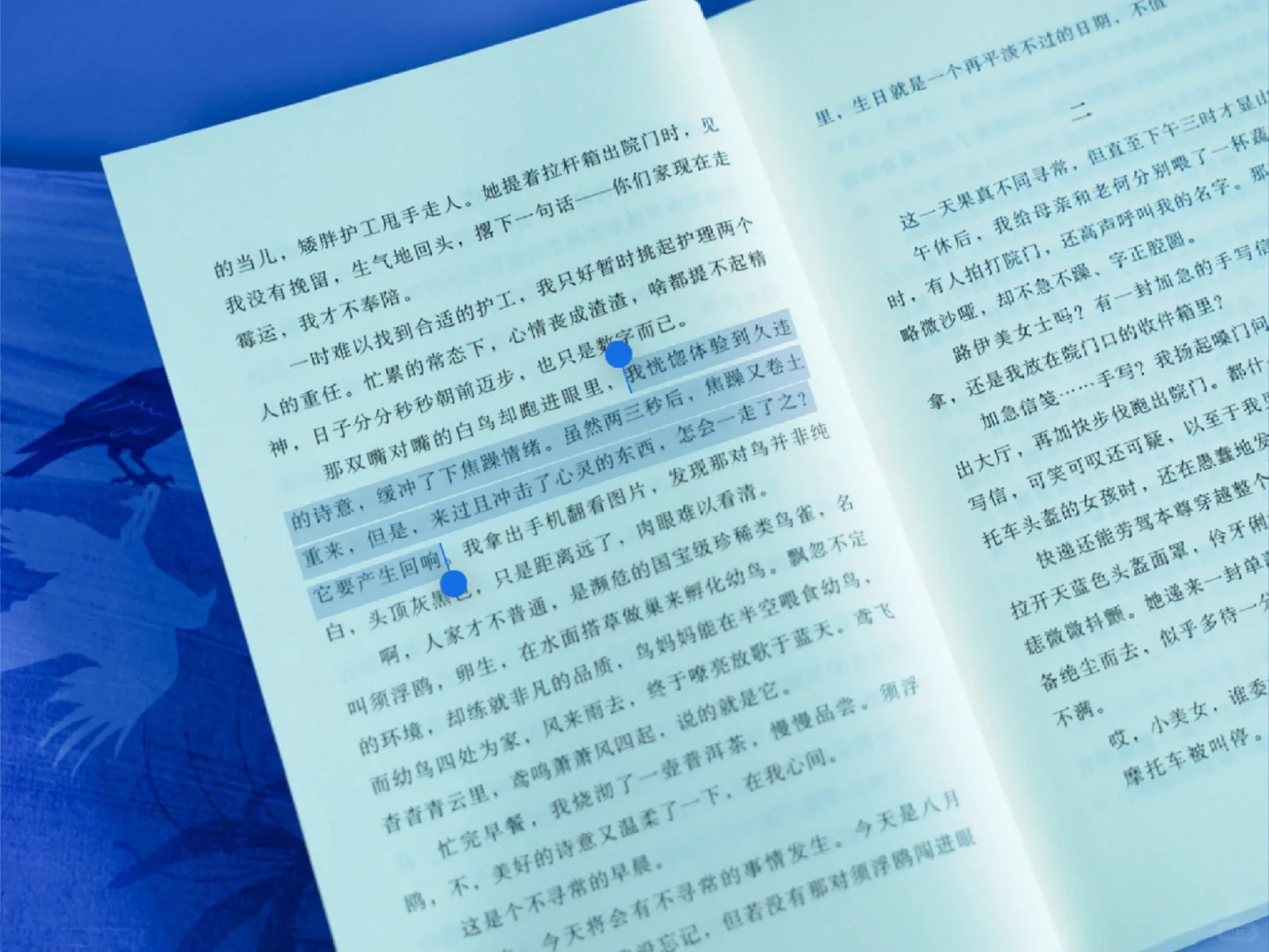 爆哭！原生家庭的伤被这本书写透了