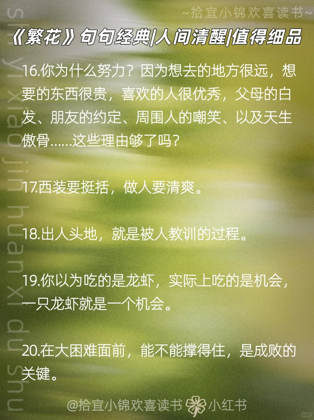 💥《繁花》：渡人无数的20个金句