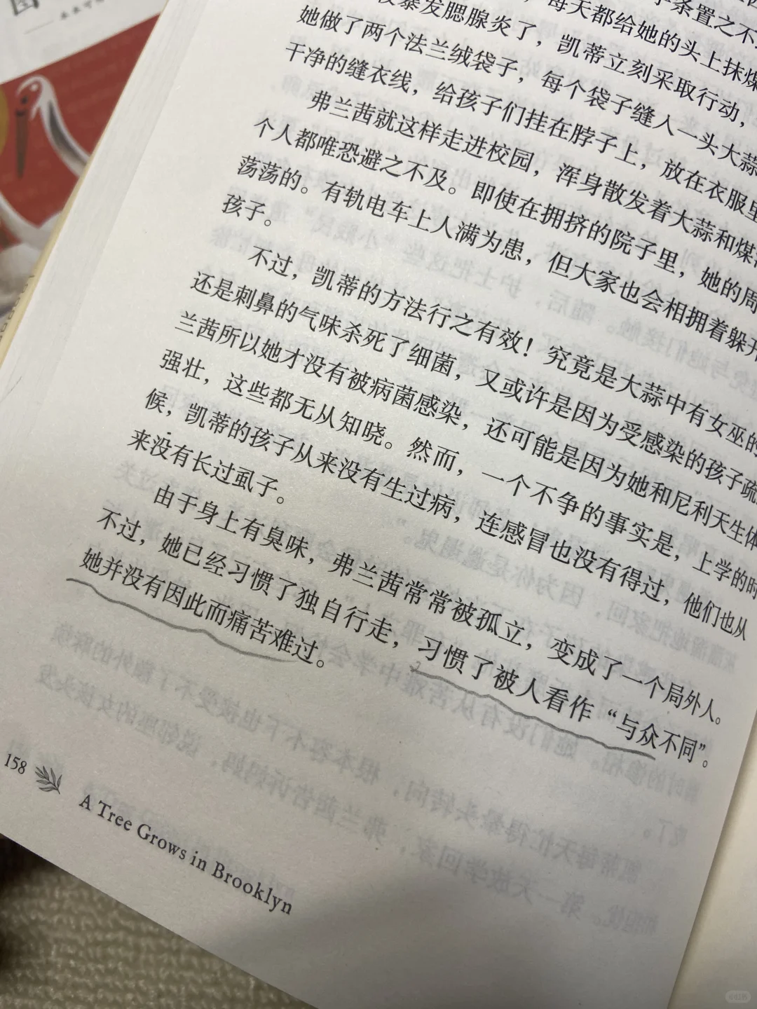 阅读的力量丨青少年必读经典文学书单