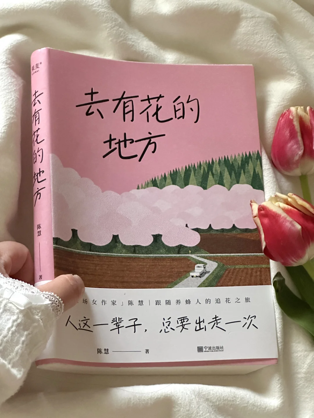 怎么会有这么治愈的书啊！太太太美了🍃🌸