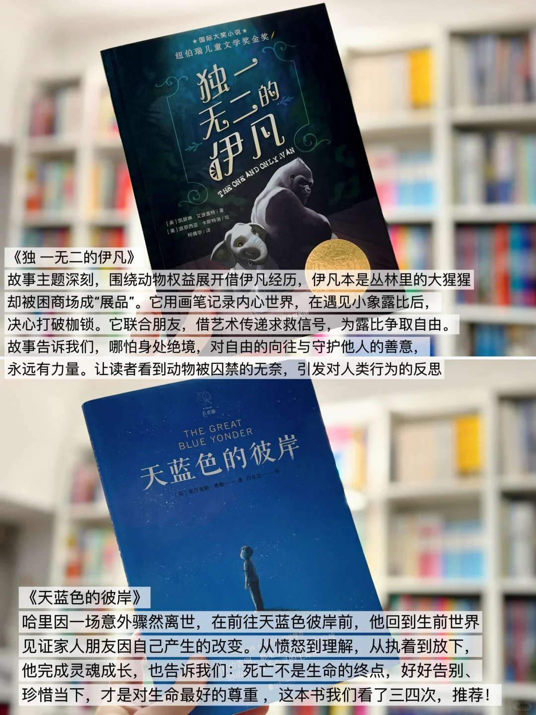 给2-4年级精挑细选的儿童文学书单📚