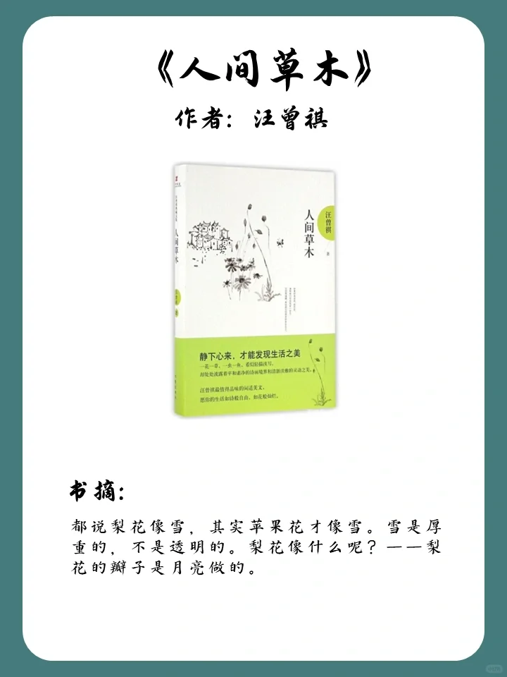 文字美到窒息，狠狠打动我的8本书