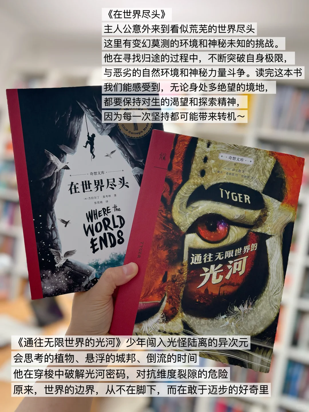 给2-4年级精挑细选的儿童文学书单📚