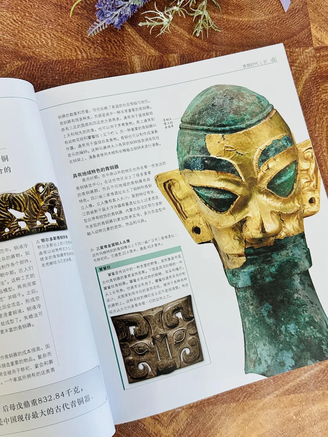 爆款续作💥DK中国文明图鉴来了🌟