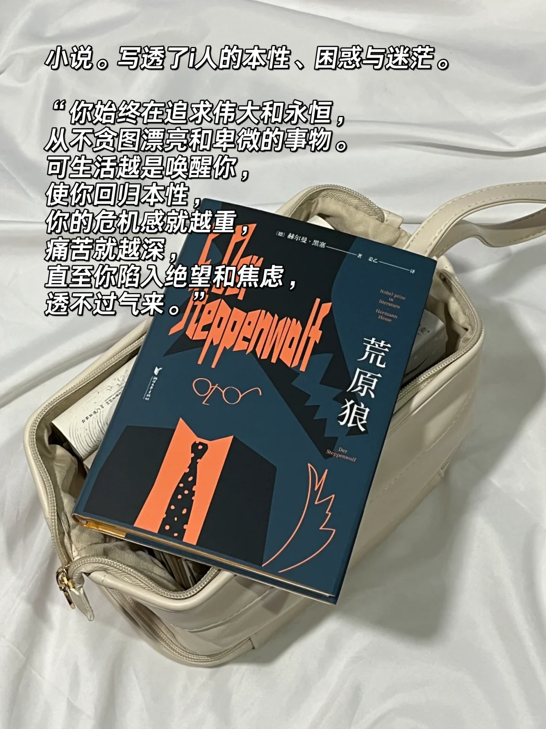 我的口袋书📚超适合i人的地铁通勤小书！