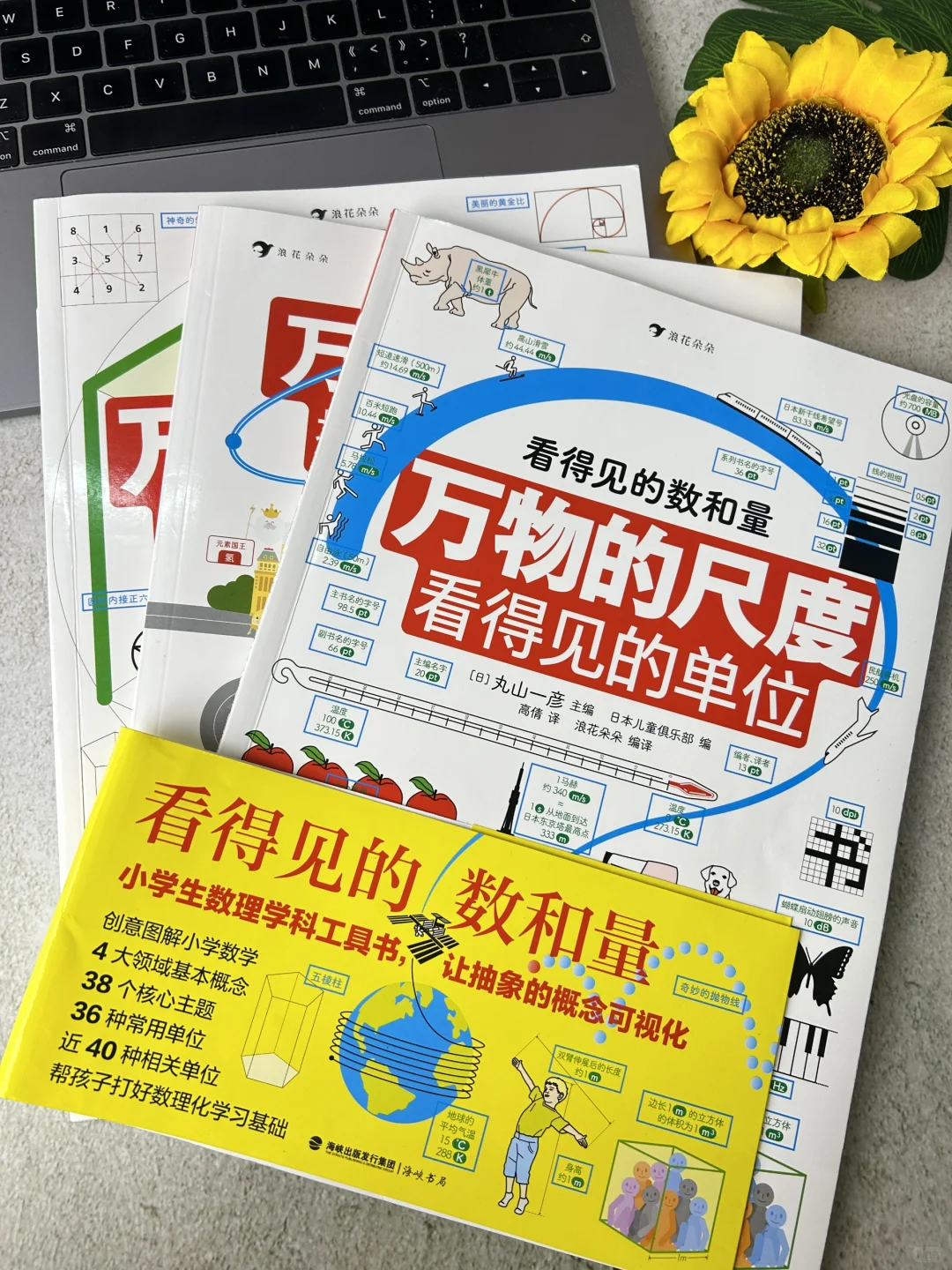 我宣布！！！这是小学生数理化启蒙的神🔥