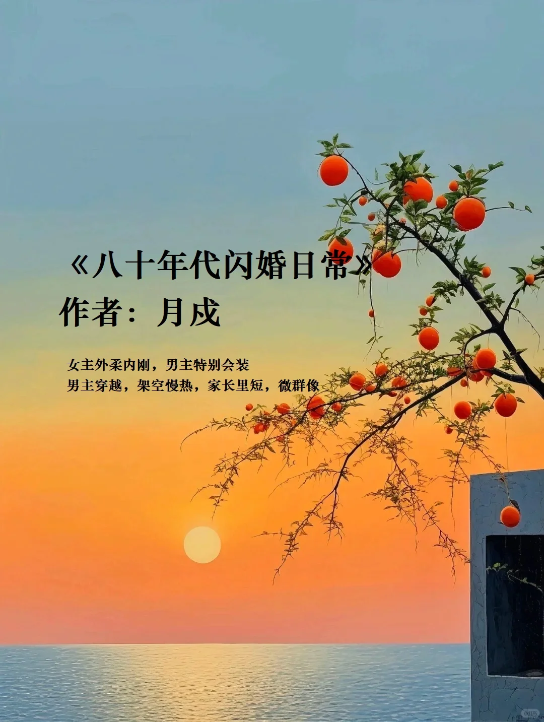 《八十年代闪婚日常》作者：月戍