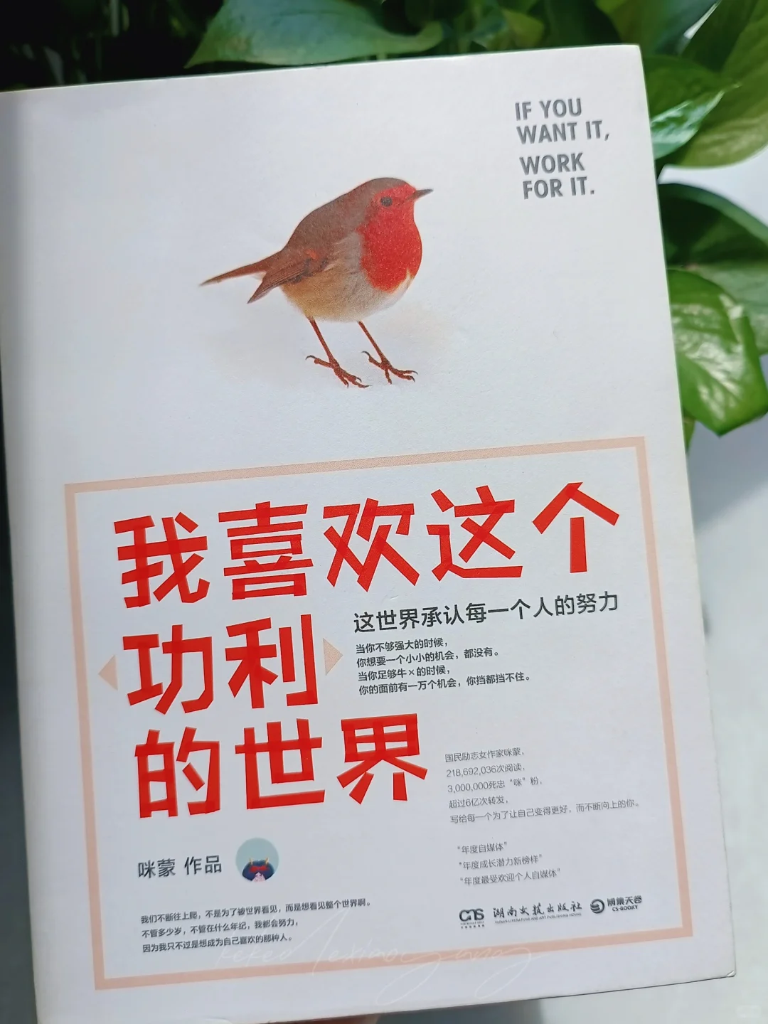 书籍分享／我喜欢这个功利的世界💰