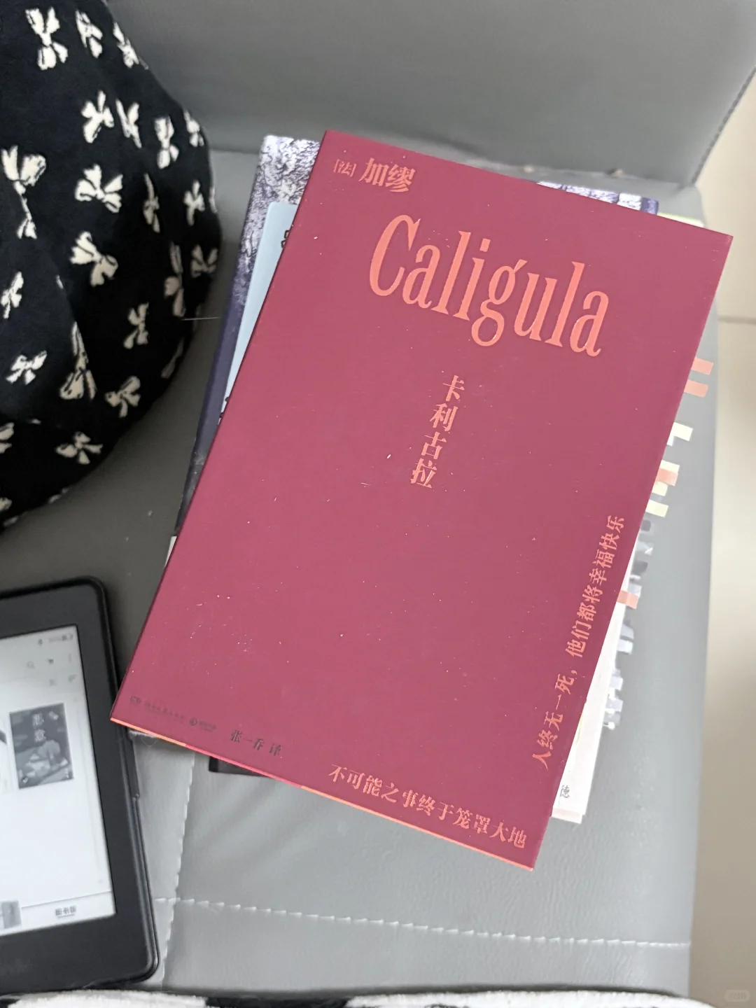 2025年已经读完了10本书