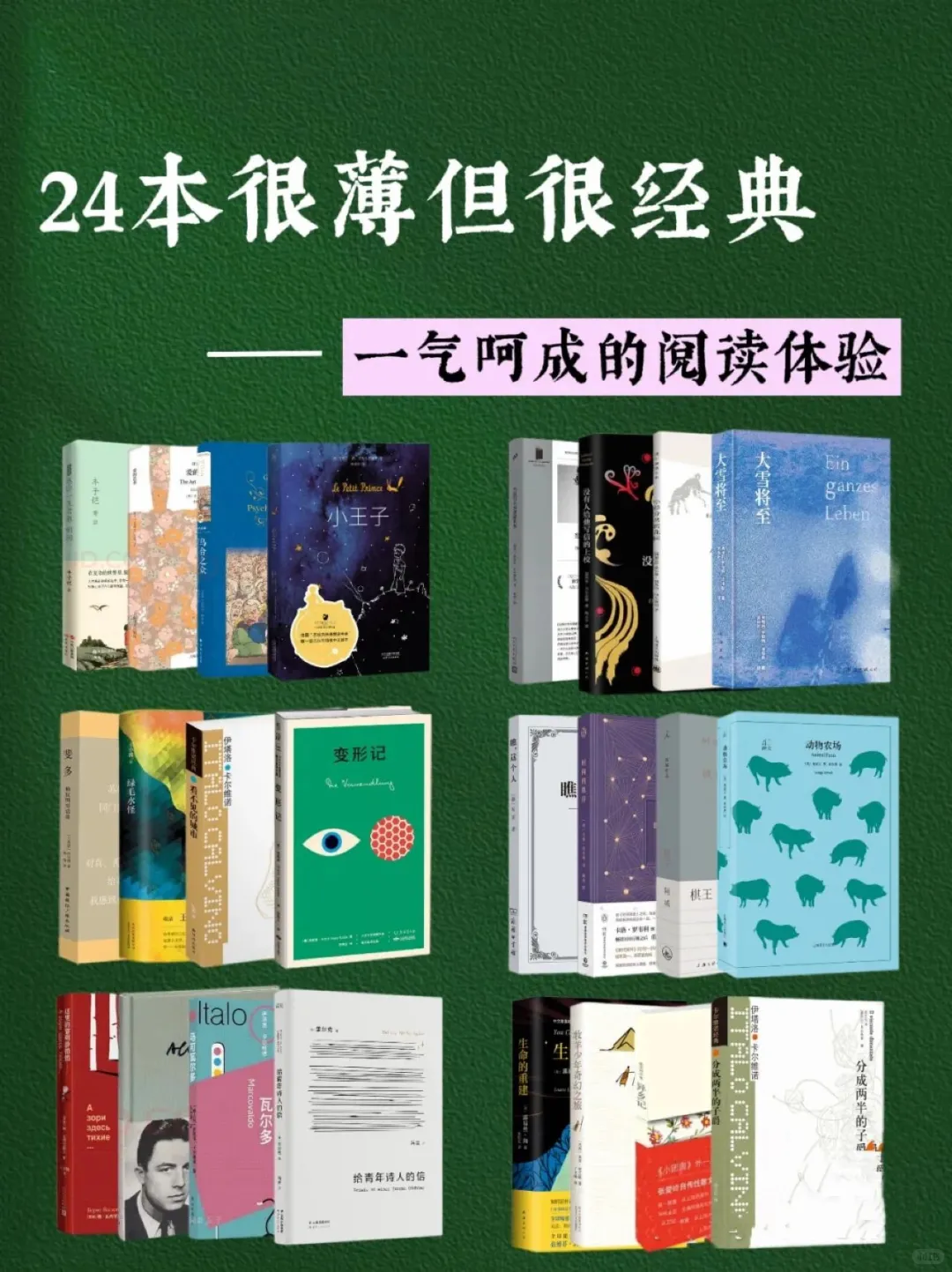 24本很薄但很经典，一气呵成的阅读体验