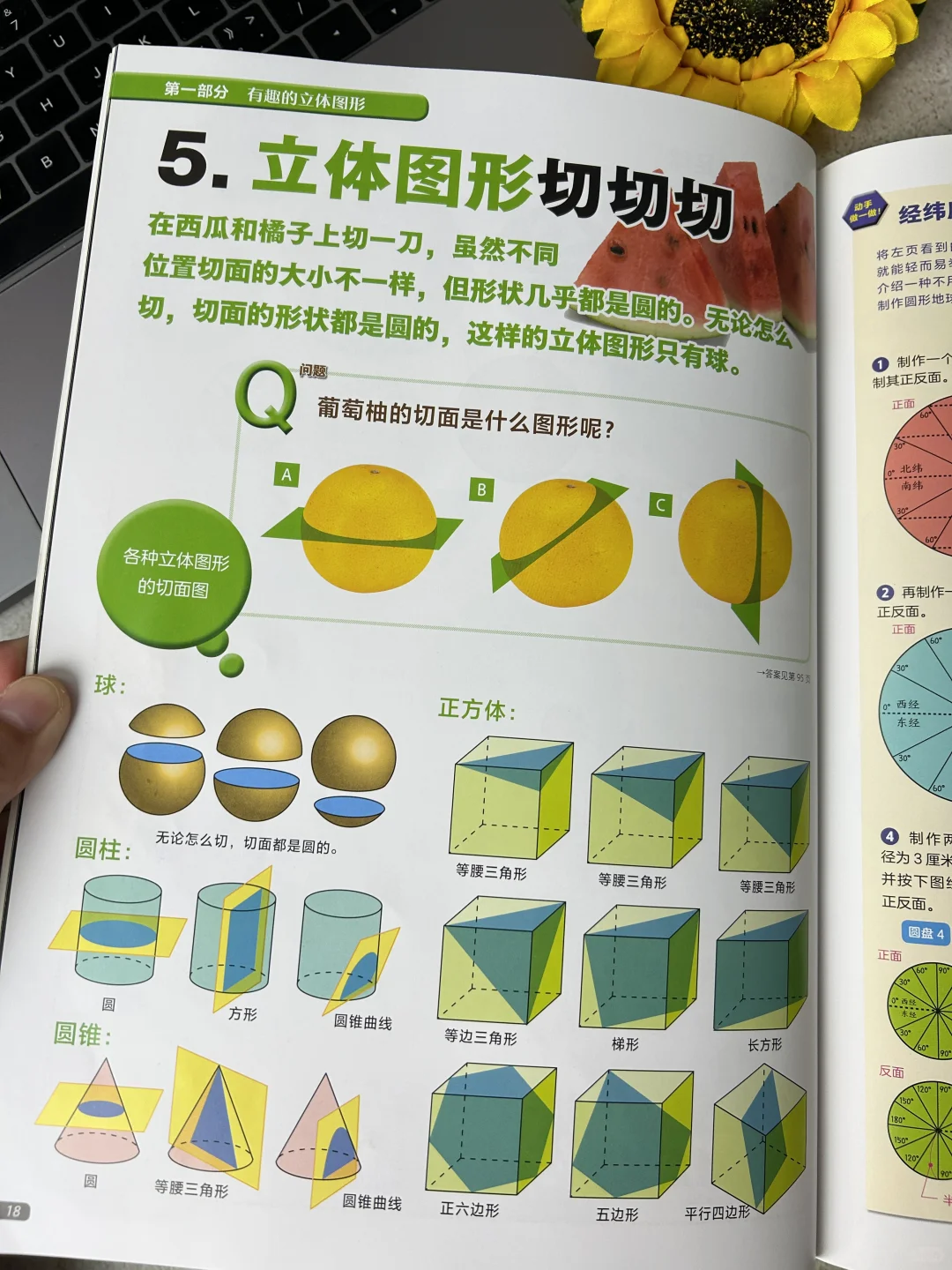 我宣布！！！这是小学生数理化启蒙的神🔥