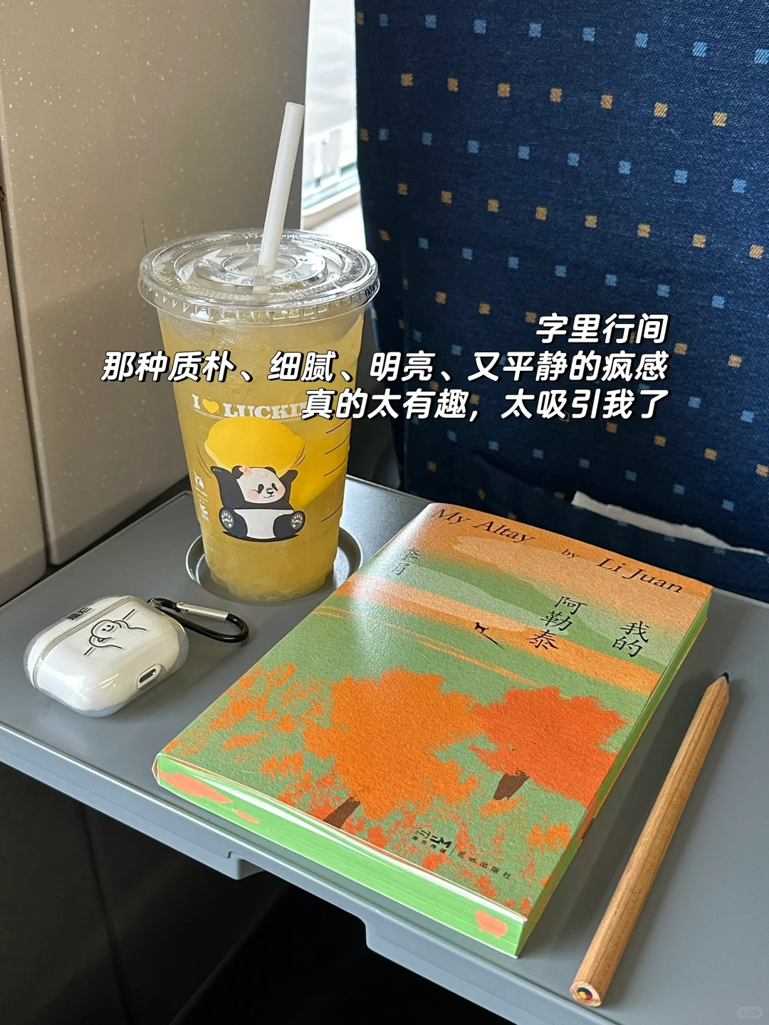 又平静又疯！在高铁上被李娟的书硬控了7小时