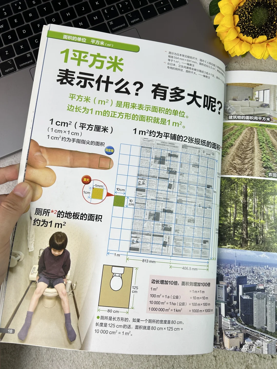 我宣布！！！这是小学生数理化启蒙的神🔥